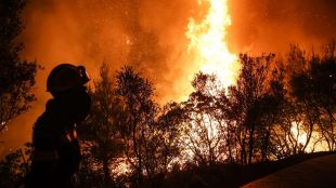 С титанични усилия бе спасено Атинското предградие Крионери от пожара