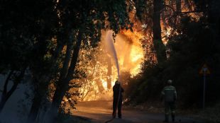Атински прокурор разпореди предварително разследване на причината за горския пожар