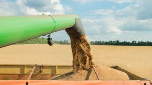 Износът на зърно от Украйна през април е спаднал до