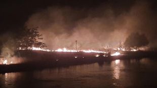 Огромен пожар пламна край пловдивското село Кадиево Горят над 1000