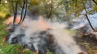 Частично бедствено положение в Родопите Големият пожар над село Югово