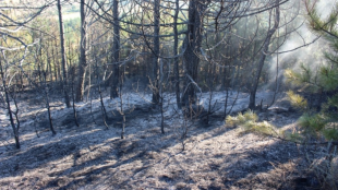 Пожар е възникнал в местността Конски гроб край Банско съобщават