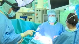 Хирурзи от Алабама са трансплантирали бъбреци от прасе на човек в мозъчна смърт