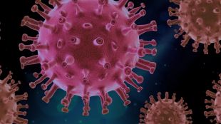 Първият случай на инфекция с новия щам на коронавируса B 1 1 529