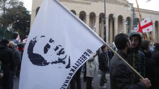 Бившият грузински президент и лидер на опозицията Михаил Саакашвили прекрати