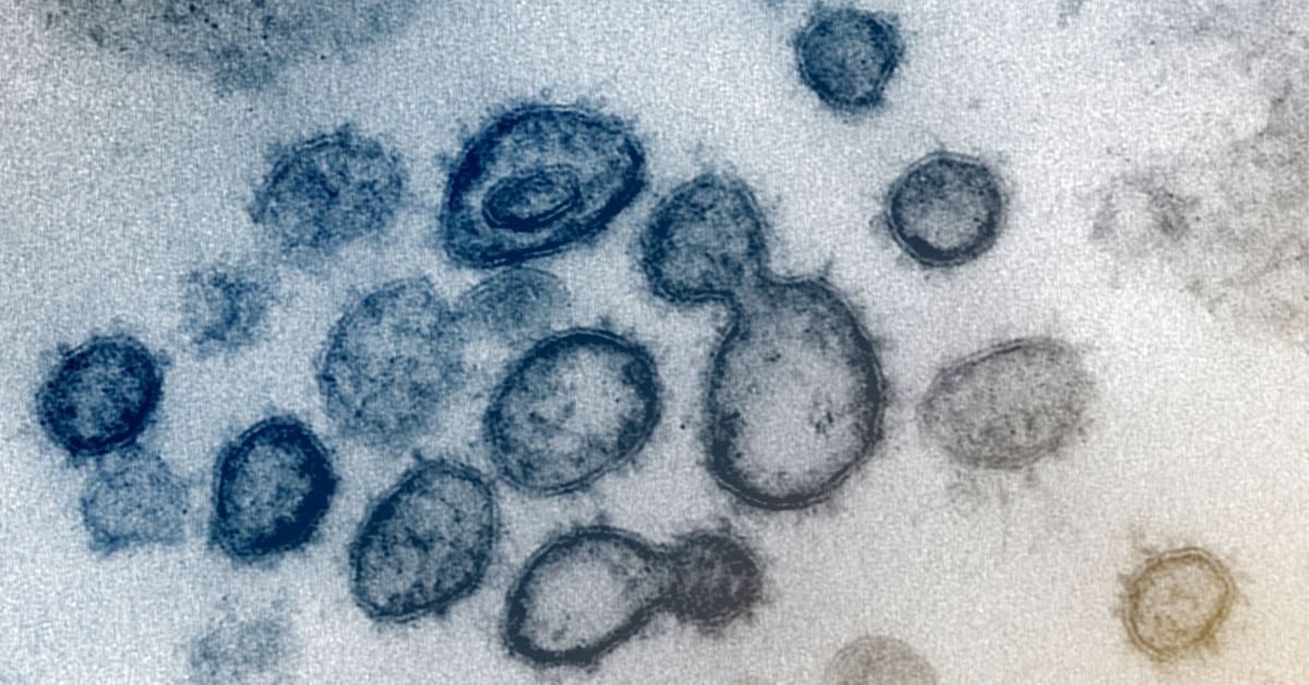 Нов вариант на коронавируса, представляващ хибрид между щамовете Делта и