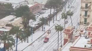Египетският средиземноморски град Александрия беше изненадан от снеговалеж Снимки и