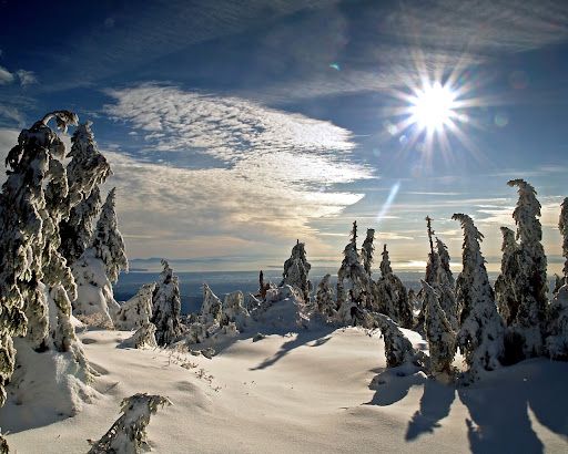 Тази година астрономическата зима ще настъпи на 21 декември в