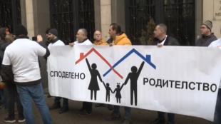В Деня на бащата мъже протестираха в столицата срещу нормативната