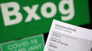 Зелените сертификати са като законите в България врата в