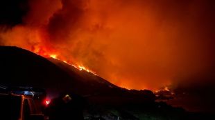 Природен пожар в Пало Колорадо щата Калифорния обхвана площ от