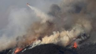 Опустошителен пожар в северната част на Аржентина изпепели повече от