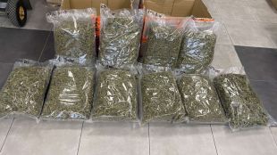 Общо 18 020 кг марихуана задържаха митнически служители в две куриерски