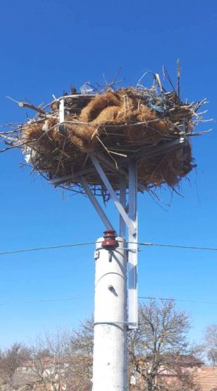 Удобни платформи за щъркелови гнезда са монтирани в шуменските села