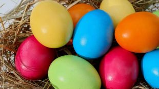 РеабилитацияПъдпъдъчите нямат холестеролДесетилетия наред обвиняват яйцата че запушват артериалните съдове