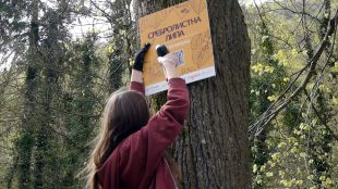 Ценни дървесни видове в Прирорден парк Шуменско плато се сдобиха