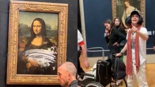 Мъж в инвалидна количка дегизиран като жена замери картината Мона