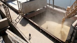Над половин милион тона зърно вече са изнесени от Украйна