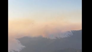Разрастващ се горски пожар в Калифорния застрашава най голямата горa от