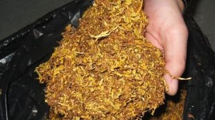 Разбиха нелегална фабрика за тютюн в Плевен съобщиха от полицията На
