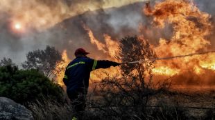 Мащабните горски пожари в Гърция са почти овладени на този