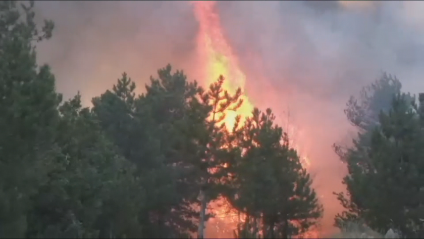 Локализиран е пожарът между селата Калугерово и Лесичово до Пазарджик.