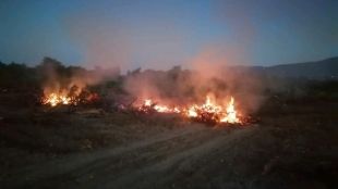 Жегата в Пловдив разгоря десетки пожари