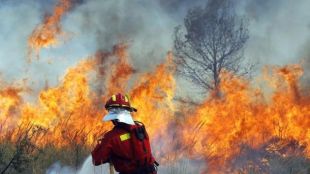 Пожар гори близо до военния полигон в Казанлък съобщава БНТ