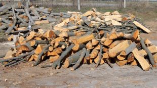 Забраниха износа на дървесина за 3 месецаПо пунктовете дървата вървят