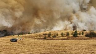 Потушен е пожарът в Сакар планина който бушуваше в землищата