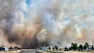 Мощни горски пожари в американския щат Вашингтон наложиха евакуацията на