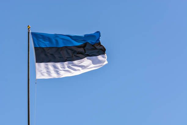 Естония не е получила официално запитване от руските власти относно