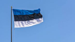 Естония не е получила официално запитване от руските власти относно