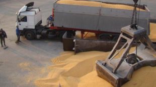 Украйна планира да увеличи износа си на зърно и слънчоглед