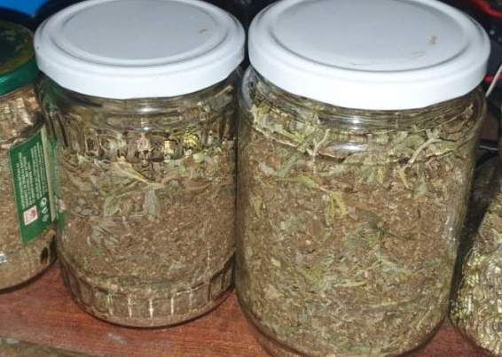 Полицаи прибраха 6 компотени буркана, натъпкани с марихуана, от къща