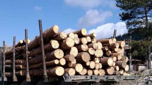 Полицията задържа в землището на белограчишко село колона от камиони