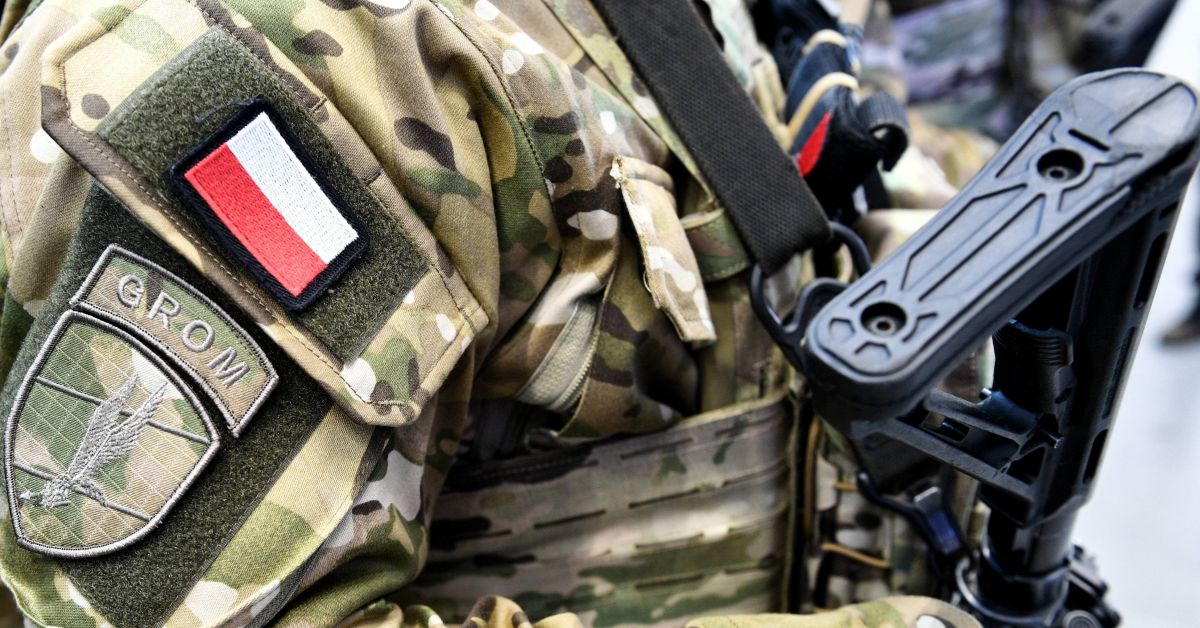 Полша иска да увеличи размера на своята армия с 20