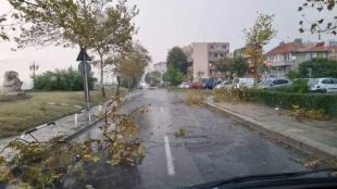Мощна буря удари Бургаско Паднали дървета съборени къщи и яхти