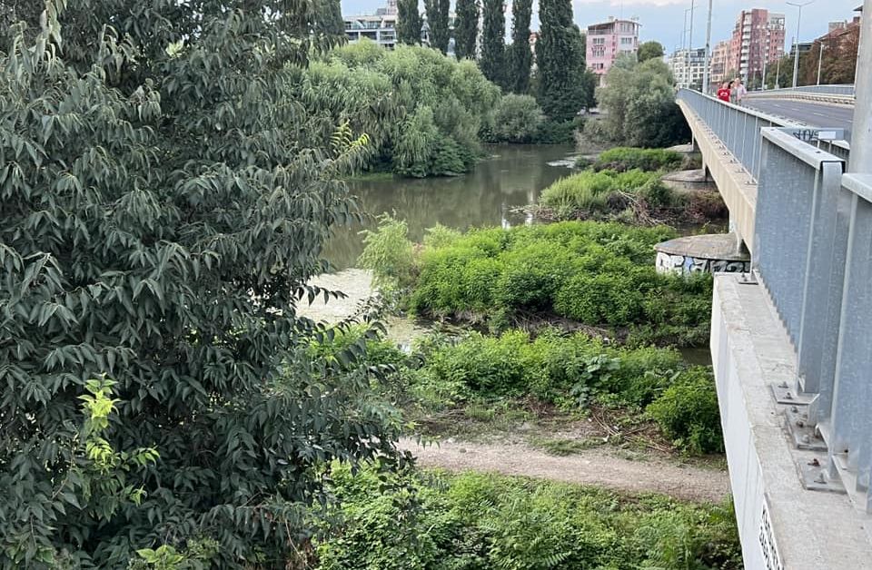 Община Пловдив е обявила обществена поръчка за почистването на река