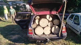 Три каруци 5 пространствени кубически метра незаконно добити дърва за