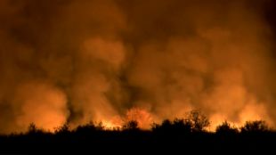 Пожарът в Мини Марица изток е овладян Цяла нощ четири противопожарни екипа