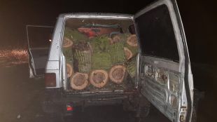 Над 10 пространствени кубика крадени дърва са задържали през изминалата