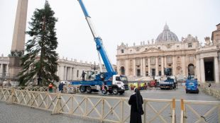 Скандал с коледното дърво на Ватикана измести празничната еуфория Оказа