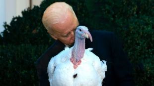 Президентът на САЩ Джо Байдън помилва две пуйки по случай