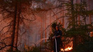 Пожар се разрази в градската гора Хаджи Бекташи Вели в