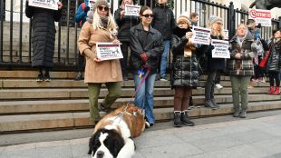 Пореден протест срещу насилието над животни и в защита на