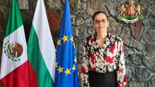 Българското посолство е провело срещи в мексиканското външно министерство и