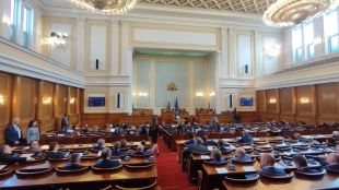 Единодушно със 190 гласа беше създадена временна парламентарна комисия по