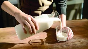 Плащат млякото под себестойност на фермерите