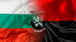Българско национално движение не виждаме никакъв обществено полезен смисъл от